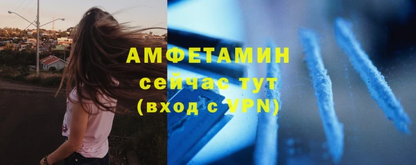 винт Новозыбков