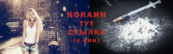 винт Новозыбков