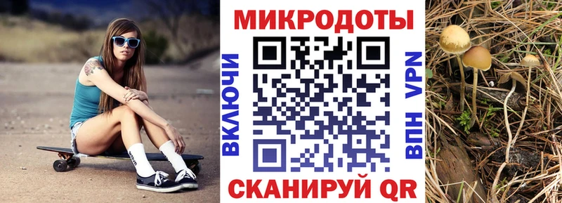 Галлюциногенные грибы Cubensis  Иркутск 