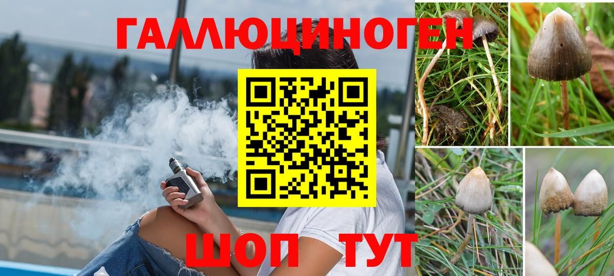 Псилоцибиновые грибы мухоморы Иркутск